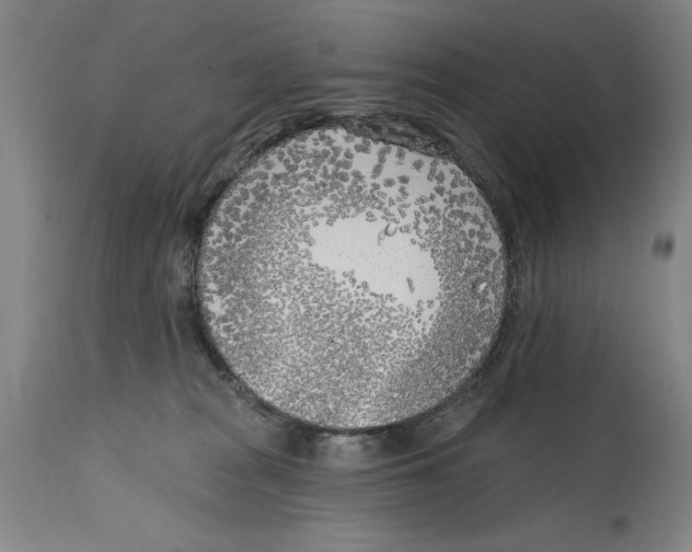 X0000114570277200911161253