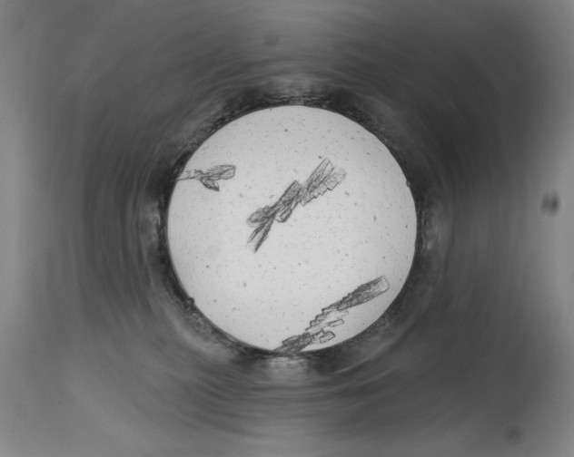 X0000114570279200911161253