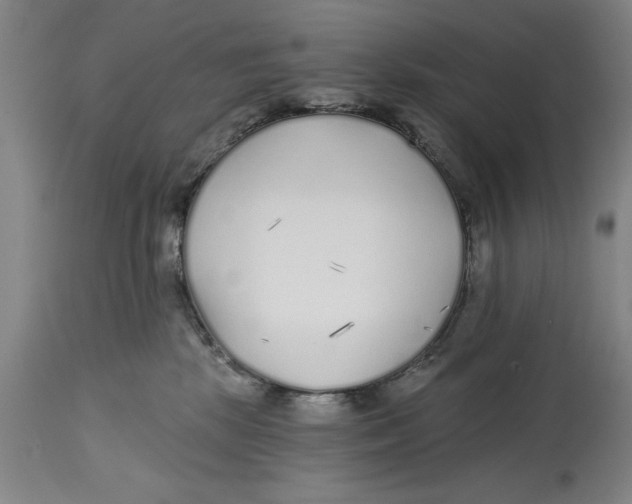 X0000114570281200911161253