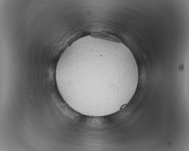 X0000114570282200911161253