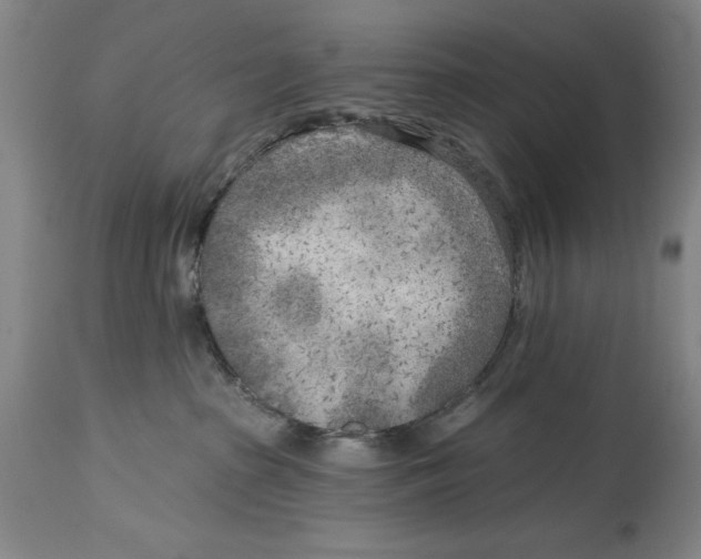 X0000114570285200911161253