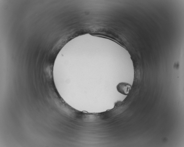 X0000114570286200911161253