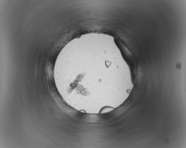 X0000114570287200911161253