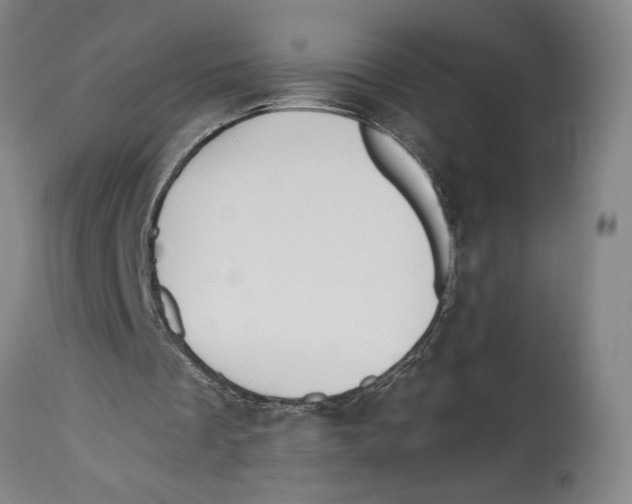 X0000114570289200911161252