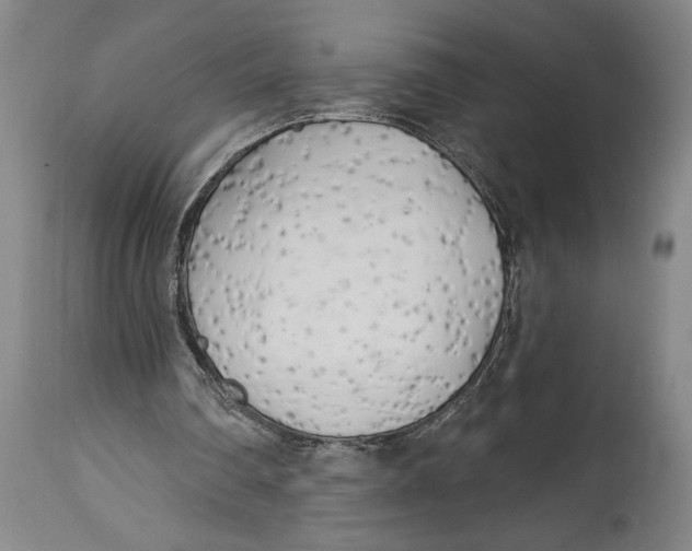 X0000114570290200911161252