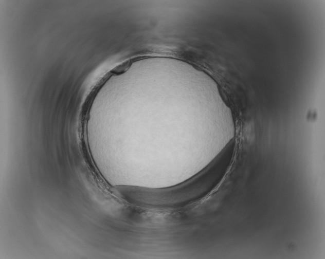 X0000114570294200911161252