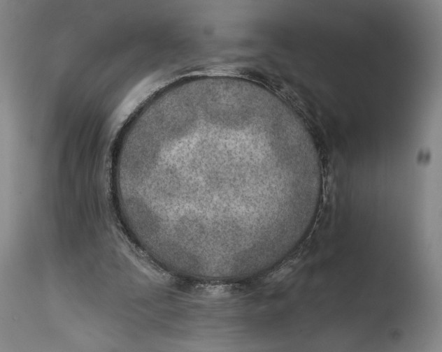 X0000114570295200911161252