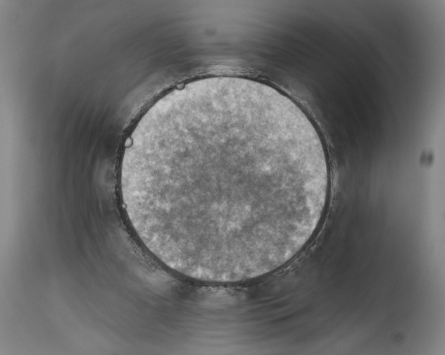 X0000114570297200911161252