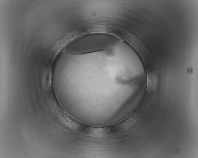 X0000114570301200911161252