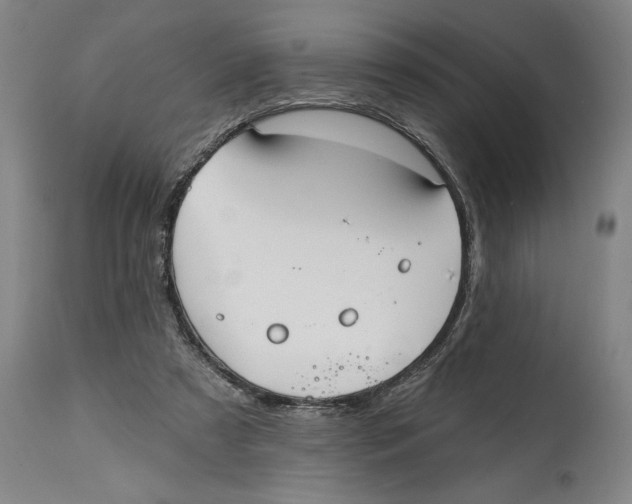 X0000114570305200911161252