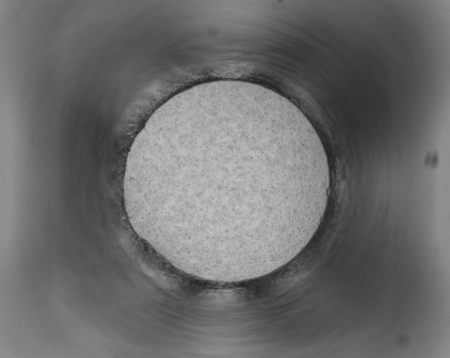 X0000114570307200911161252