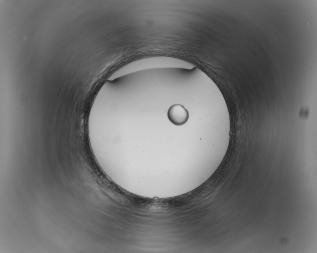 X0000114570308200911161252