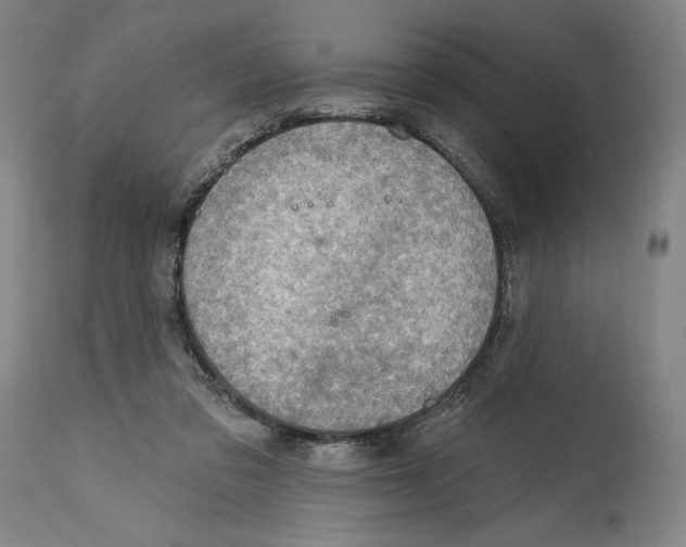 X0000114570309200911161252