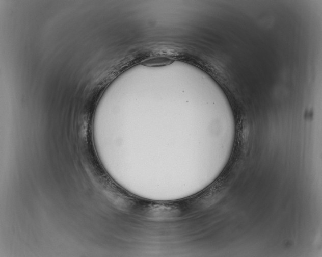 X0000114570315200911161252