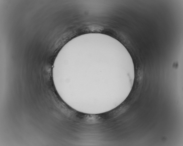 X0000114570321200911161252