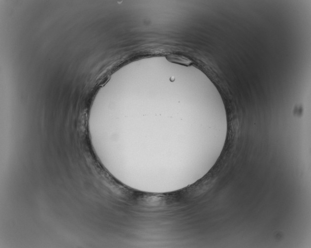 X0000114570325200911161252