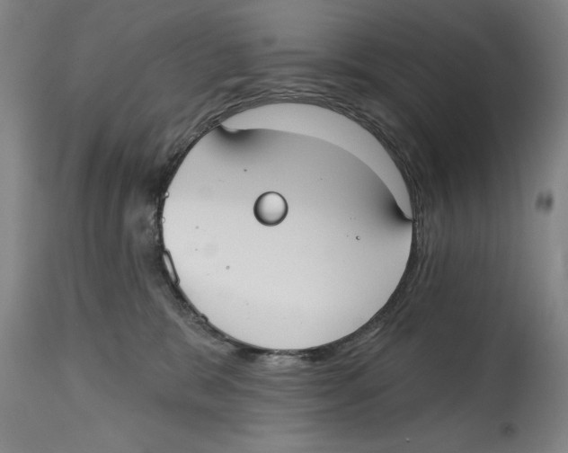 X0000114570327200911161252