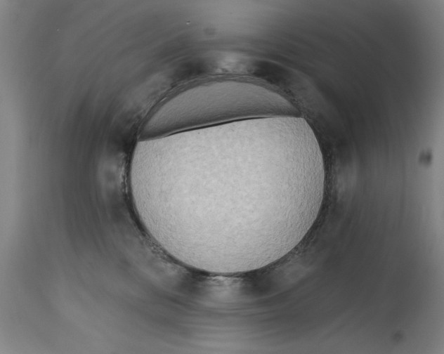 X0000114570328200911161252