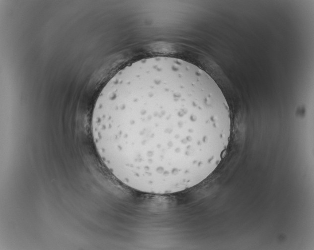 X0000114570330200911161252