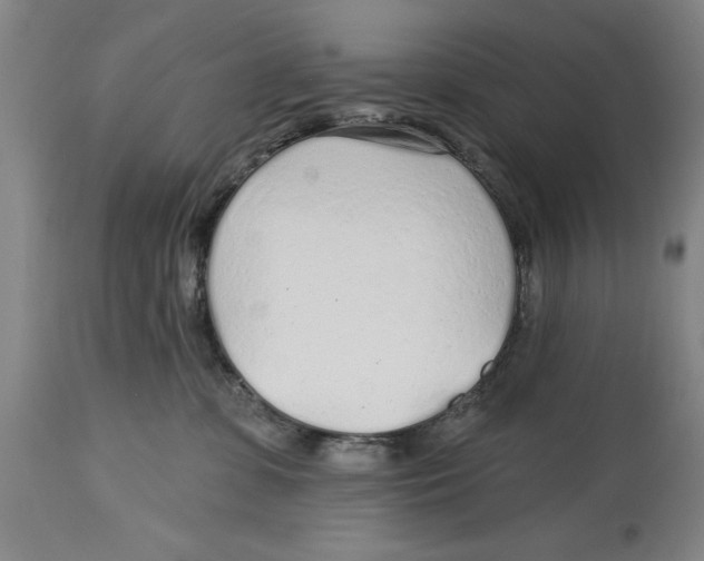 X0000114570331200911161252