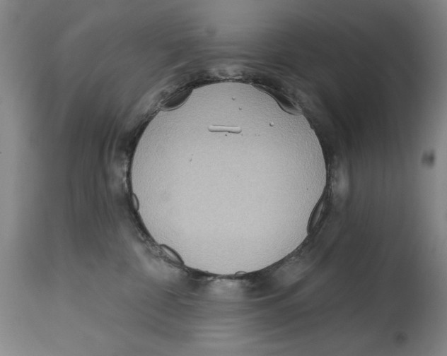 X0000114570332200911161252