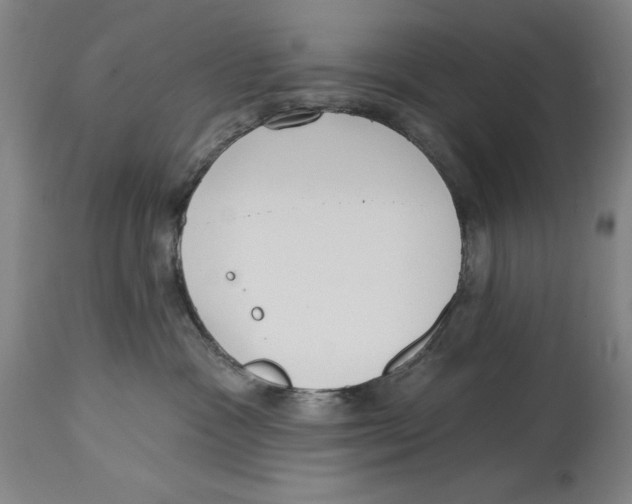 X0000114570333200911161252