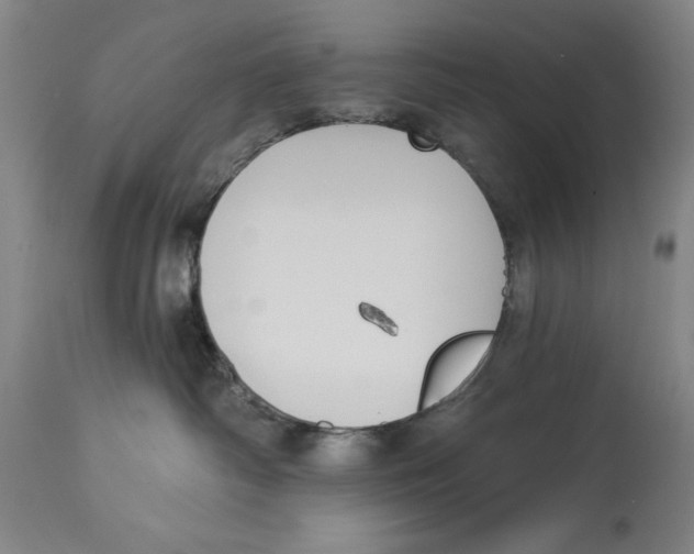 X0000114570334200911161252