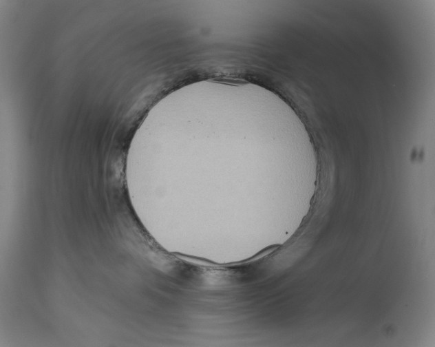 X0000114570336200911161251