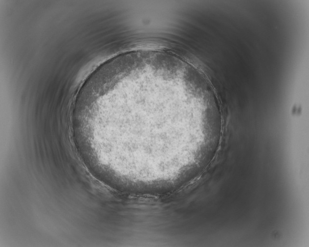 X0000114570337200911161251