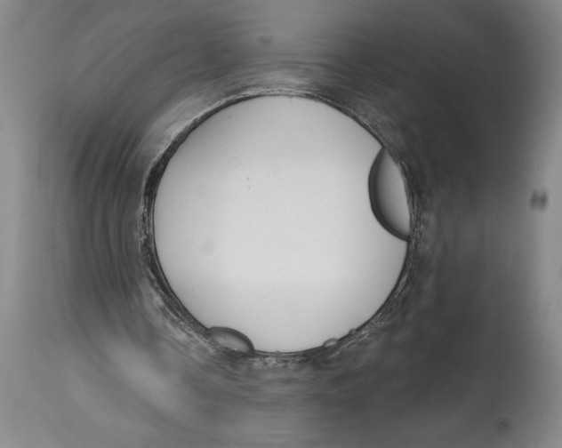 X0000114570338200911161251