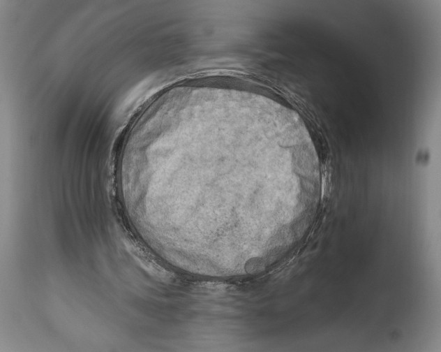 X0000114570339200911161251