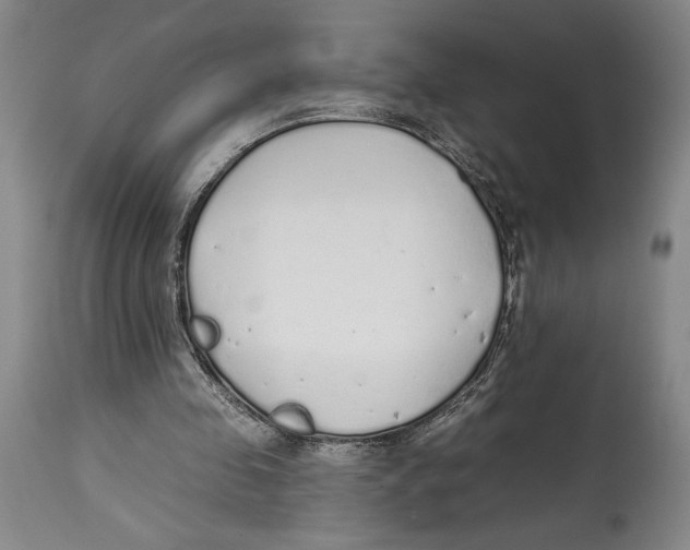 X0000114570341200911161251