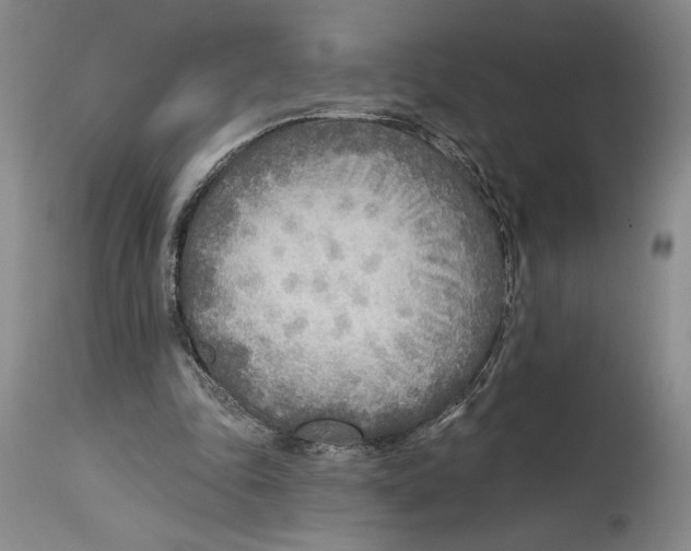 X0000114570343200911161251