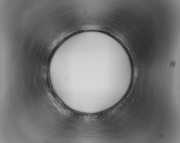 X0000114570345200911161251