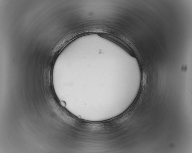 X0000114570349200911161251