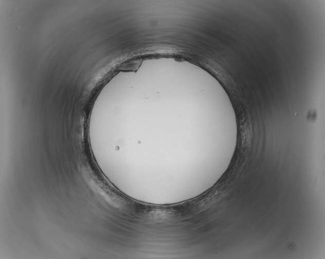 X0000114570350200911161251