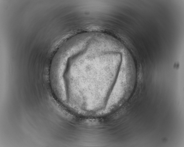 X0000114570353200911161251