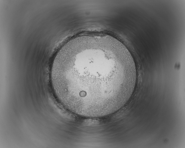 X0000114570354200911161251