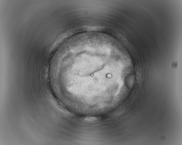 X0000114570357200911161251