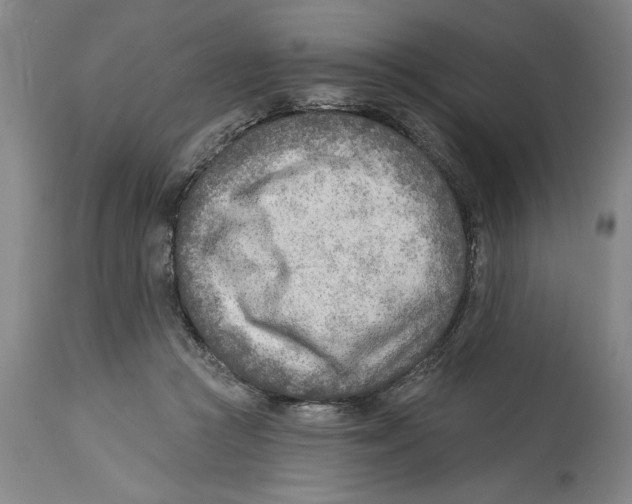 X0000114570361200911161251