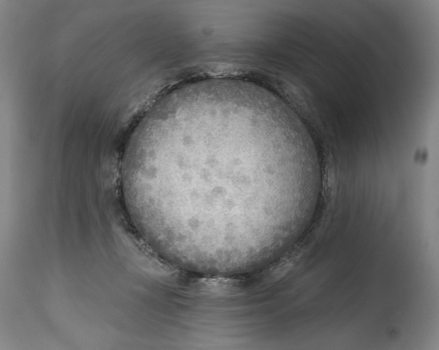 X0000114570367200911161251