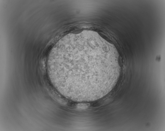 X0000114570373200911161251