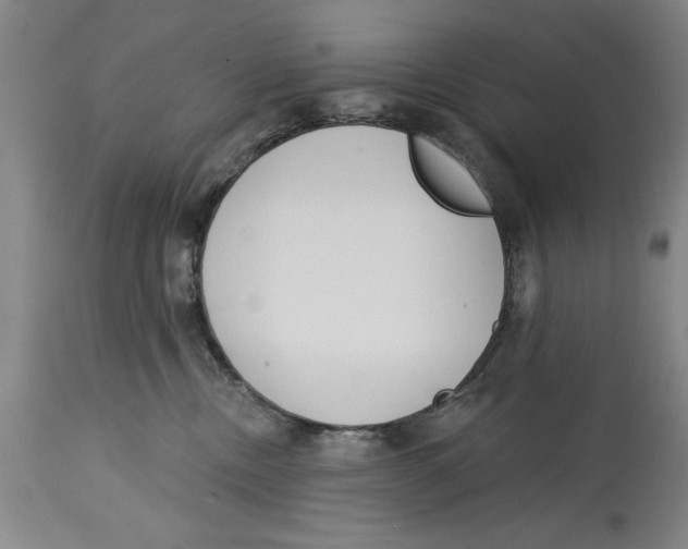 X0000114570378200911161251