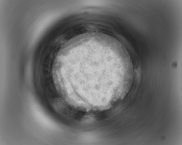 X0000114570381200911161251