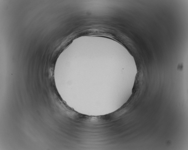 X0000114570382200911161251