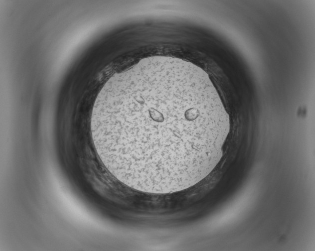 X0000114570383200911161251