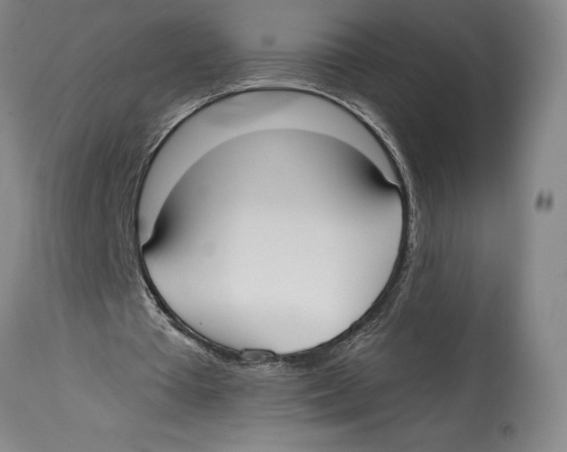 X0000114570385200911161251