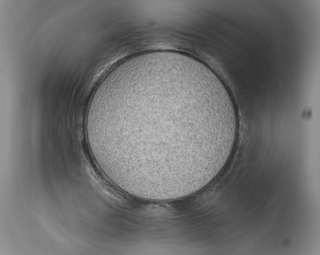 X0000114570386200911161251