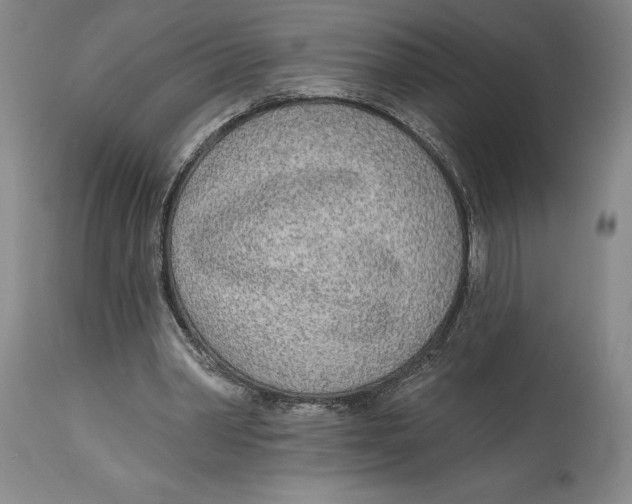 X0000114570390200911161251