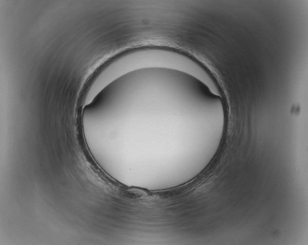 X0000114570391200911161251